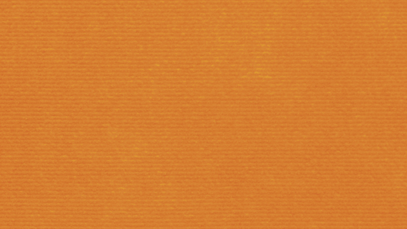 Teppich Rollenlänge +/- 50 m – Bild 9