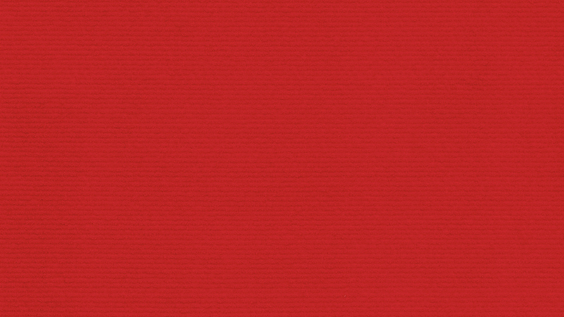 Teppich Rollenlänge +/- 50 m – Bild 11